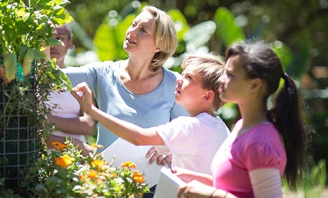 Seasonal Allergy Triggers in Kids